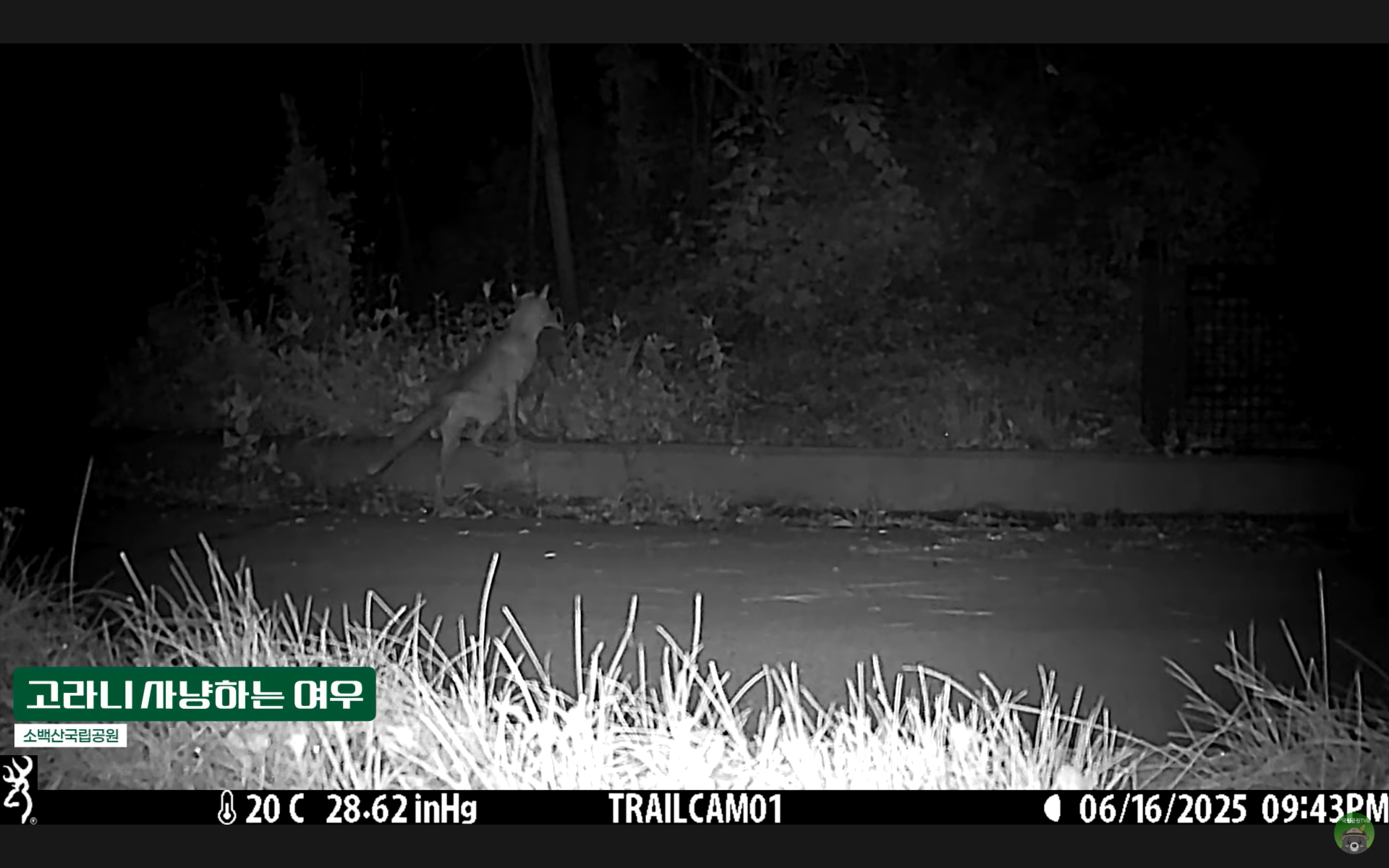 ESG / ESG오늘 / 이에스지