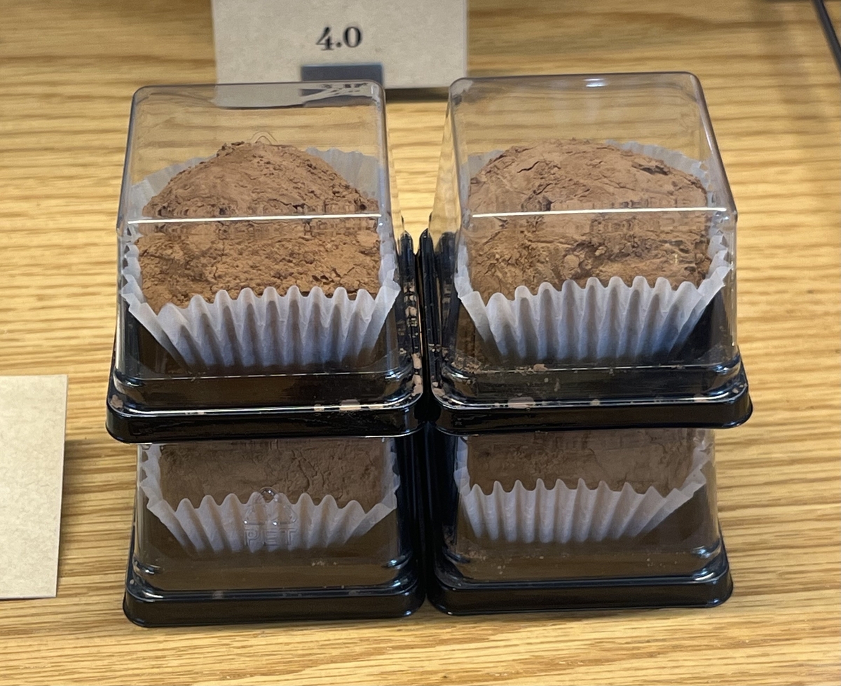 ESG / ESG오늘 / 이에스지