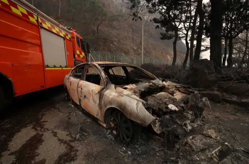 ESG / ESG오늘 / 이에스지