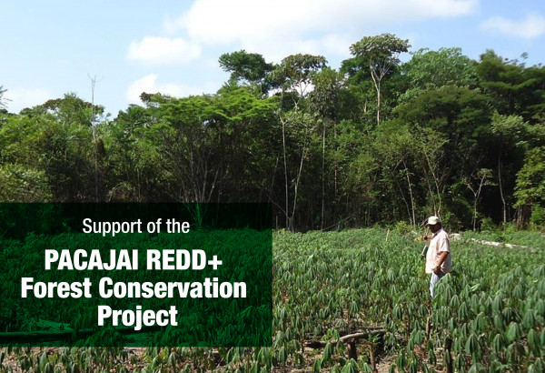 ESG / ESG오늘 / 이에스지